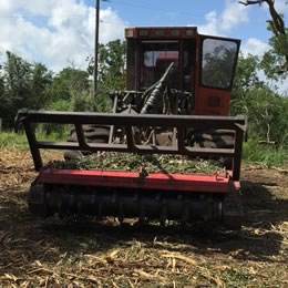 Ranch Services in Texas