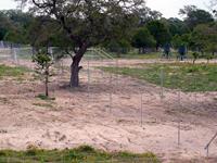 Past Deer Fence Construction Projects