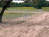 Past Deer Fence Construction Projects